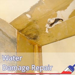 Water Damage Repair Company