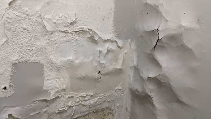 Indicators of Water Damage Behind Walls