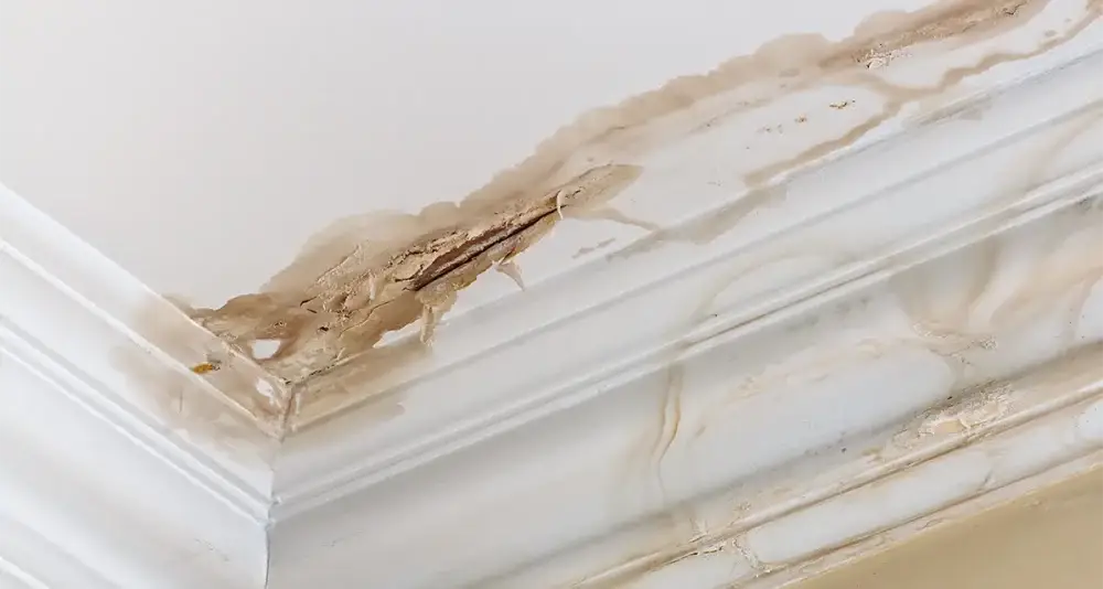 ceiling water damage