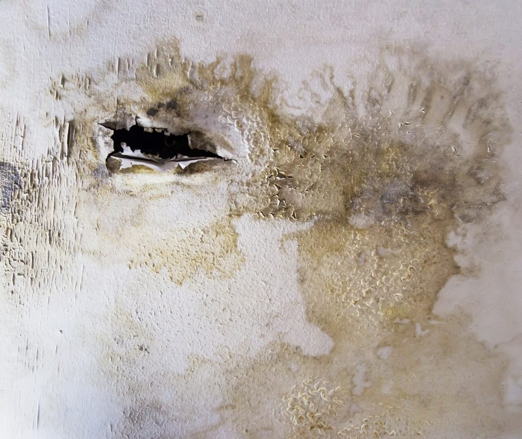 5 Different Types of House Water Damage