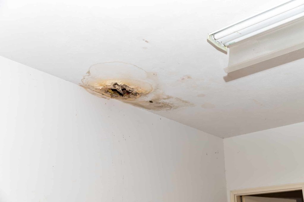 Top Causes of Basement Water Damage and How to Prevent Them
