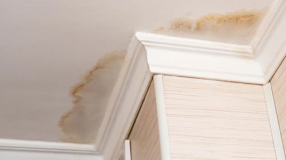 ceiling water damage - bubbling paint - water stains