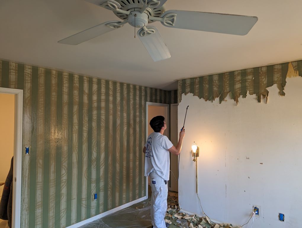 Spraying Wallpaper for Removal