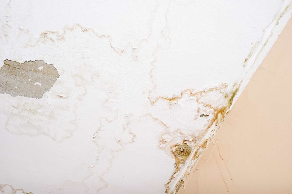 Ceiling Water Damage How to Identify and Fix the Problem